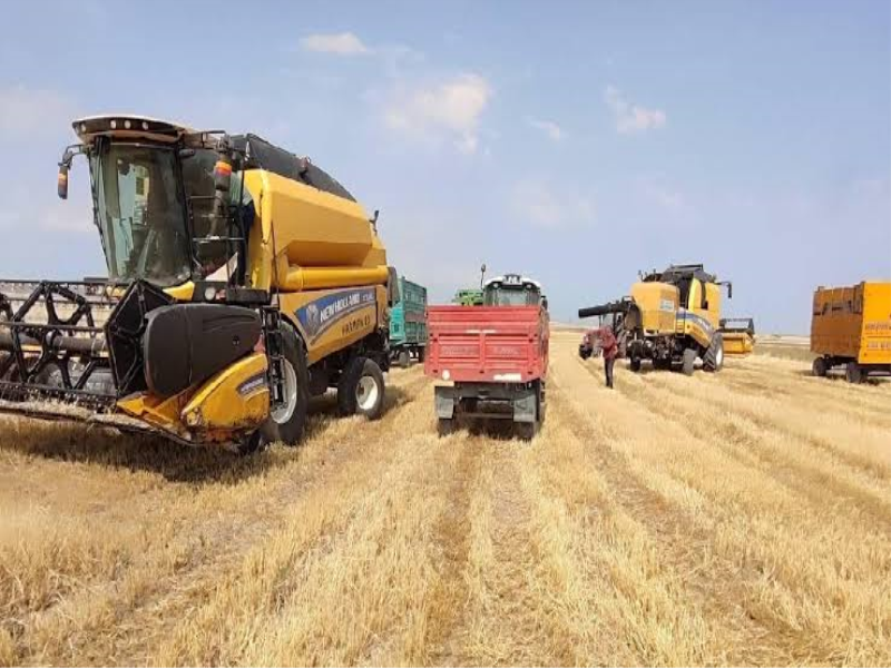 Türkiye’nin Brezilya’dan Tarım İthalatı Yüzde 37 Arttı